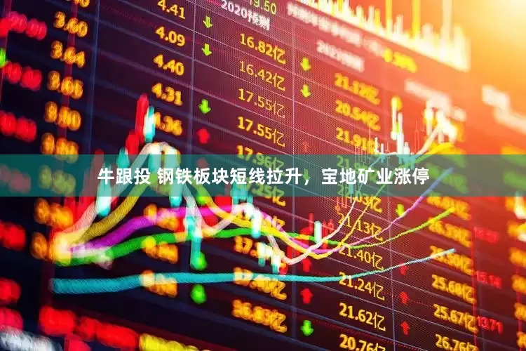 牛跟投 钢铁板块短线拉升，宝地矿业涨停