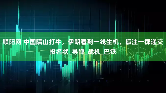 顺阳网 中国隔山打牛，伊朗看到一线生机，孤注一掷递交投名状_导弹_战机_巴铁