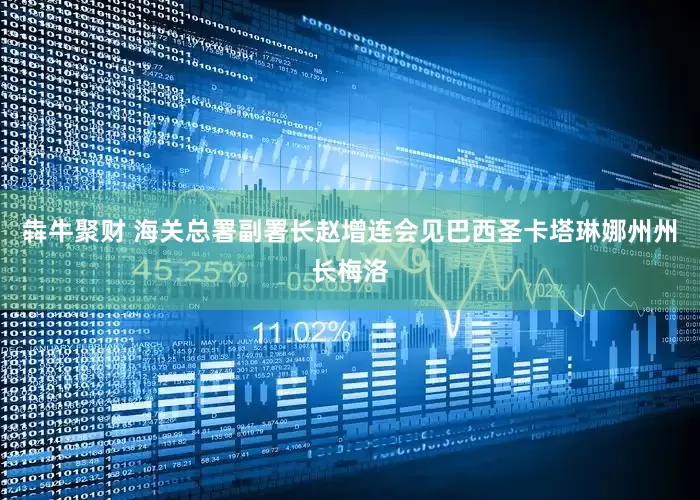 犇牛聚财 海关总署副署长赵增连会见巴西圣卡塔琳娜州州长梅洛